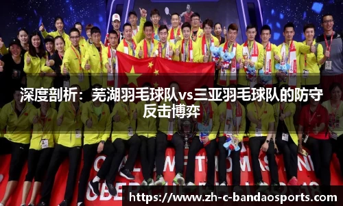 深度剖析：芜湖羽毛球队vs三亚羽毛球队的防守反击博弈