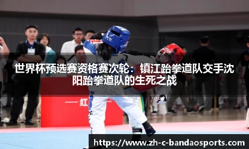 世界杯预选赛资格赛次轮：镇江跆拳道队交手沈阳跆拳道队的生死之战