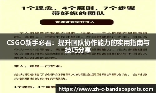 CSGO新手必看：提升团队协作能力的实用指南与技巧分享