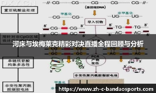 河床与埃梅莱克精彩对决直播全程回顾与分析